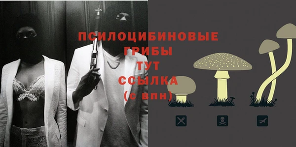 mix Алексин