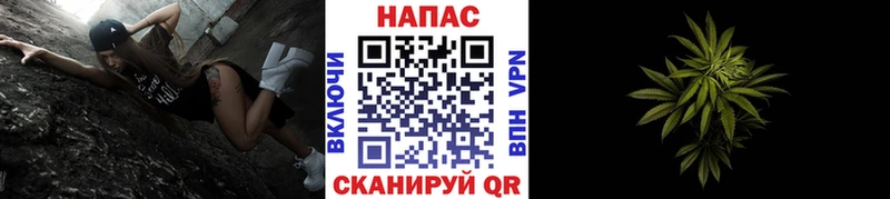 Конопля ГИДРОПОН mega как зайти Ковылкино