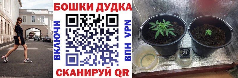 МАРИХУАНА тримм Ковылкино